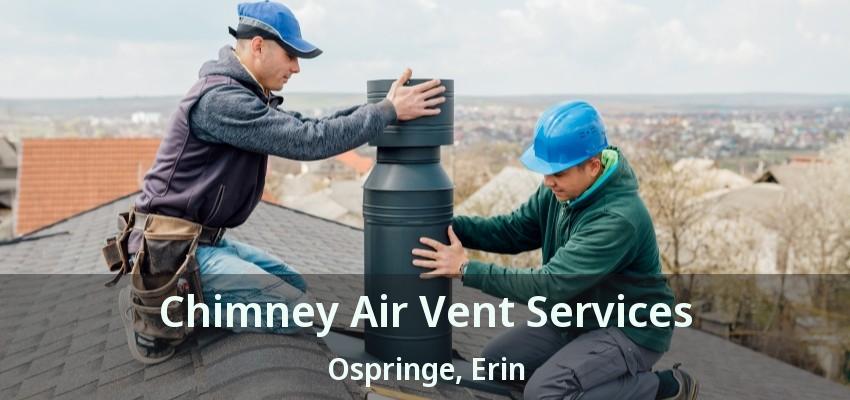 Chimney Air Vent Services Ospringe, Erin - ON