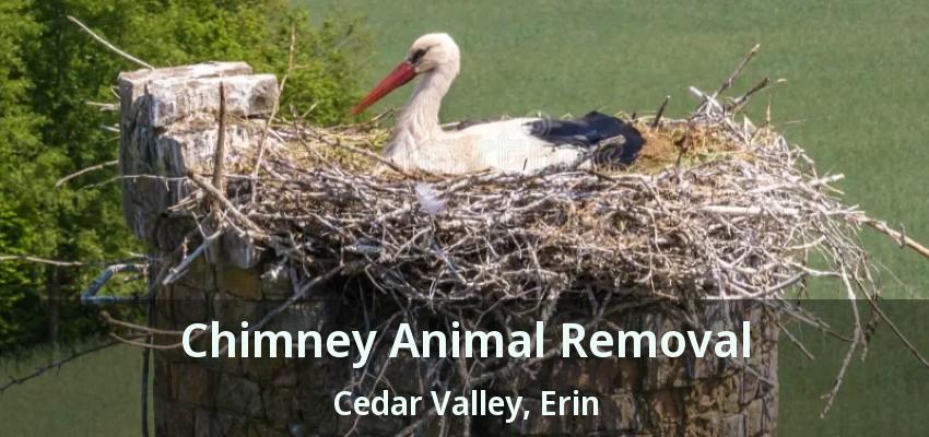 Chimney Animal Removal Cedar Valley, Erin - ON
