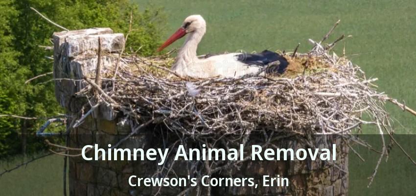 Chimney Animal Removal Crewson's Corners, Erin - ON