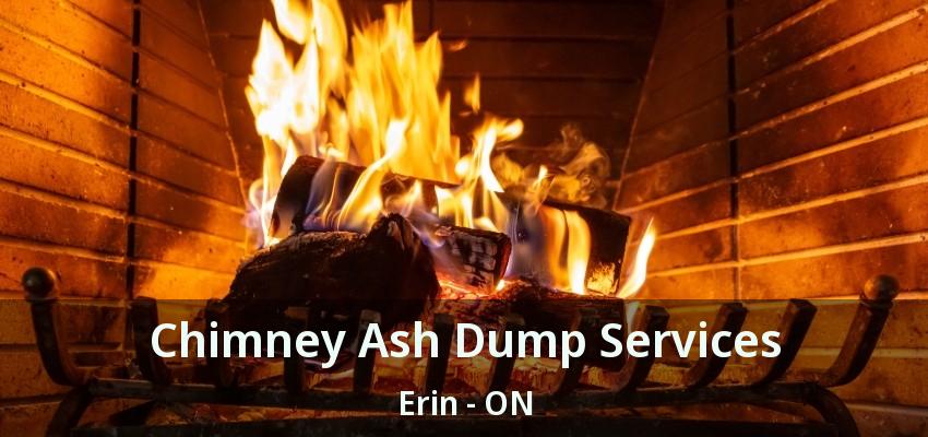 Chimney Ash Dump Services Erin - ON