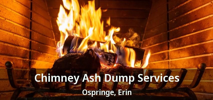 Chimney Ash Dump Services Ospringe, Erin - ON