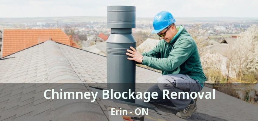 Chimney Blockage Removal Erin - ON