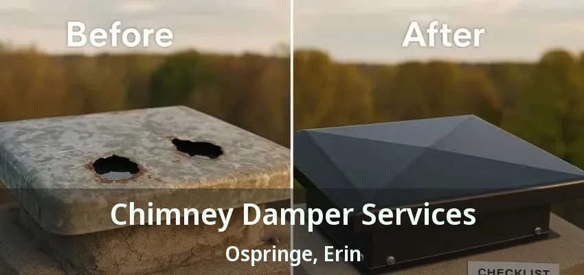 Chimney Damper Services Ospringe, Erin - ON Chimney Damper Services Ospringe, Erin - ON
