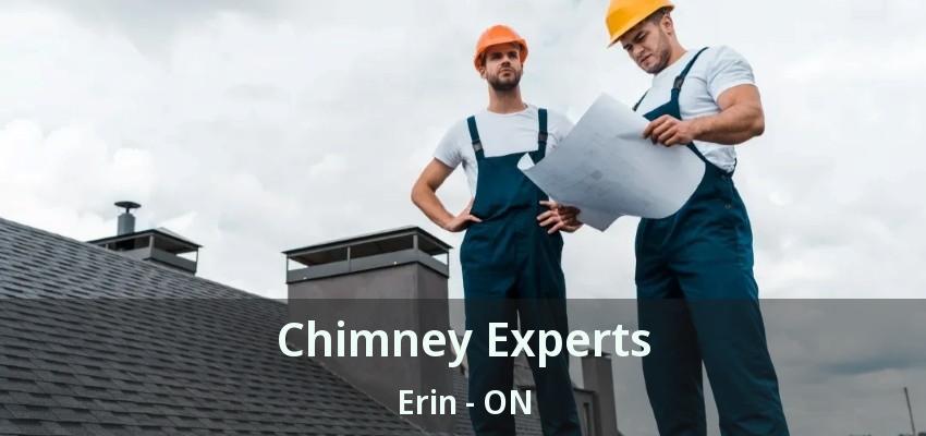 Chimney Experts Erin - ON