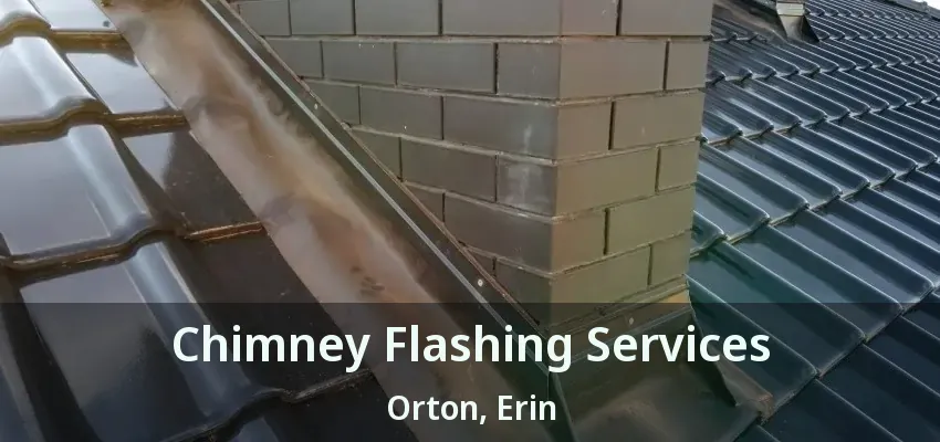 Chimney Flashing Services Orton, Erin - ON