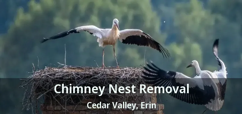 Chimney Nest Removal Cedar Valley, Erin - ON