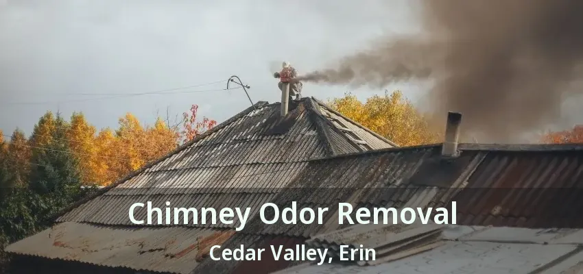 Chimney Odor Removal Cedar Valley, Erin - ON