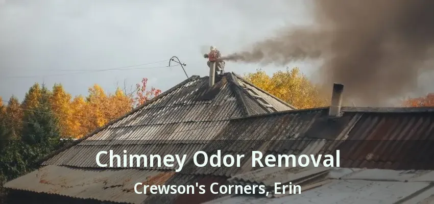 Chimney Odor Removal Crewson's Corners, Erin - ON