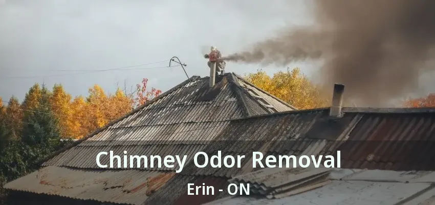 Chimney Odor Removal Erin - ON