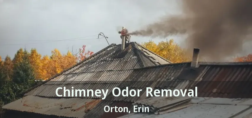 Chimney Odor Removal Orton, Erin - ON