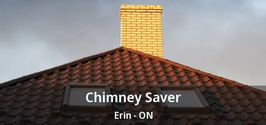 Chimney Saver Erin - ON