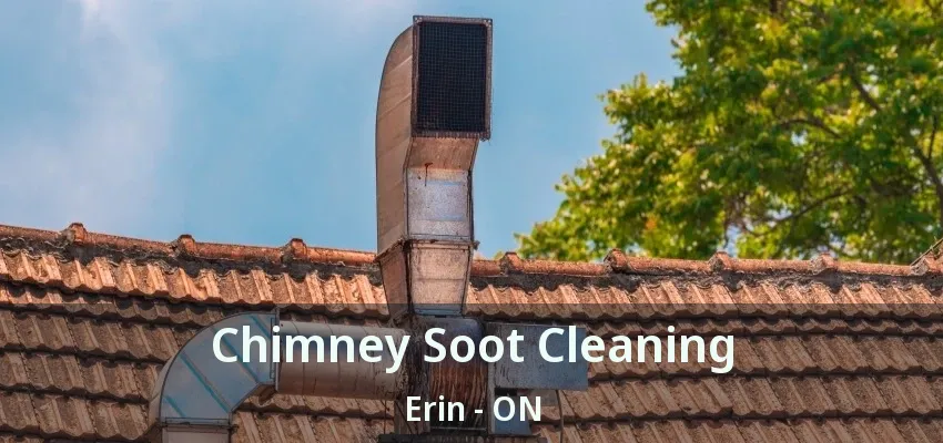 Chimney Soot Cleaning Erin - ON