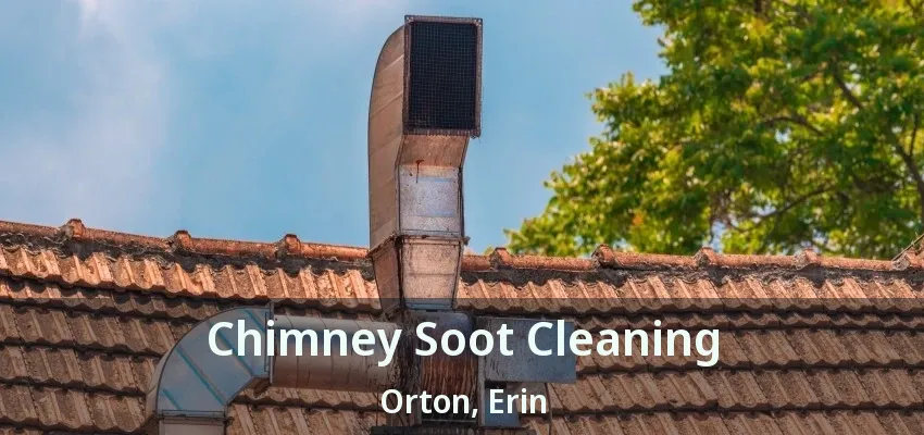 Chimney Soot Cleaning Orton, Erin - ON