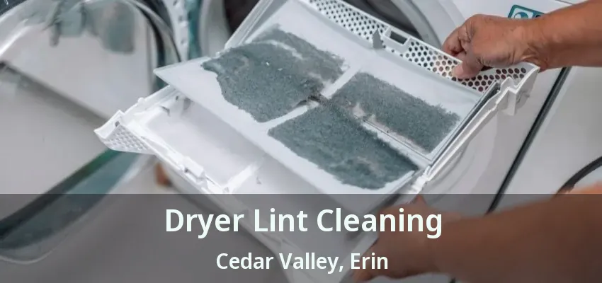 Dryer Lint Cleaning Cedar Valley, Erin - ON