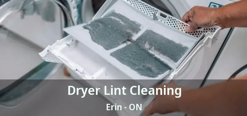 Dryer Lint Cleaning Erin - ON