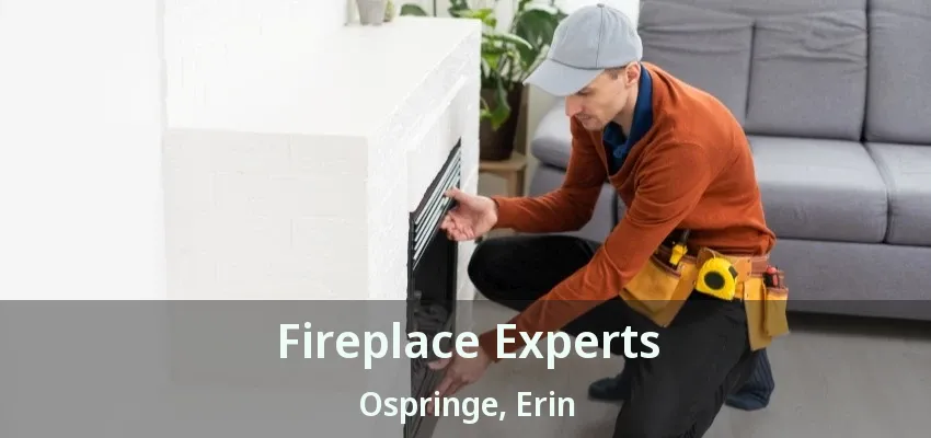 Fireplace Experts Ospringe, Erin - ON