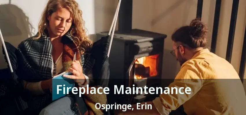 Fireplace Maintenance Ospringe, Erin - ON