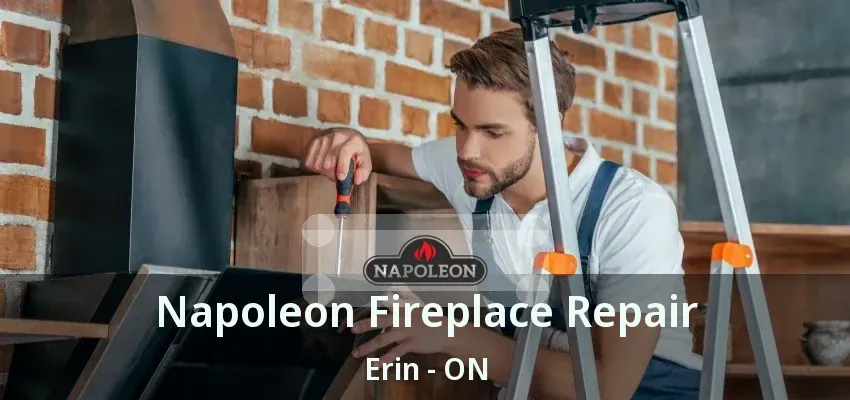 Napoleon Fireplace Repair Erin - ON