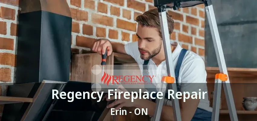Regency Fireplace Repair Erin - ON
