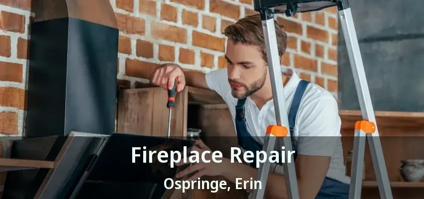Fireplace Repair Ospringe, Erin - ON