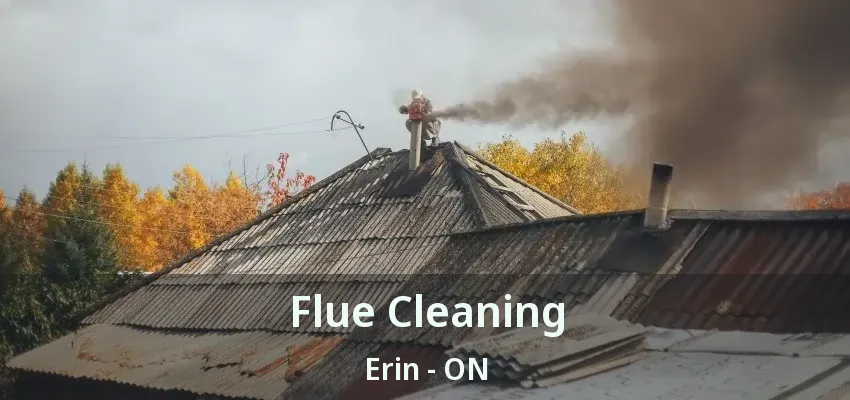 Flue Cleaning Erin - ON