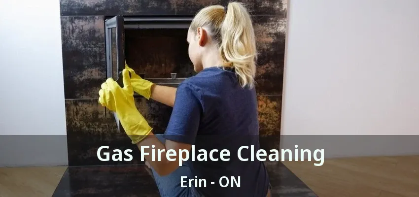 Gas Fireplace Cleaning Erin - ON