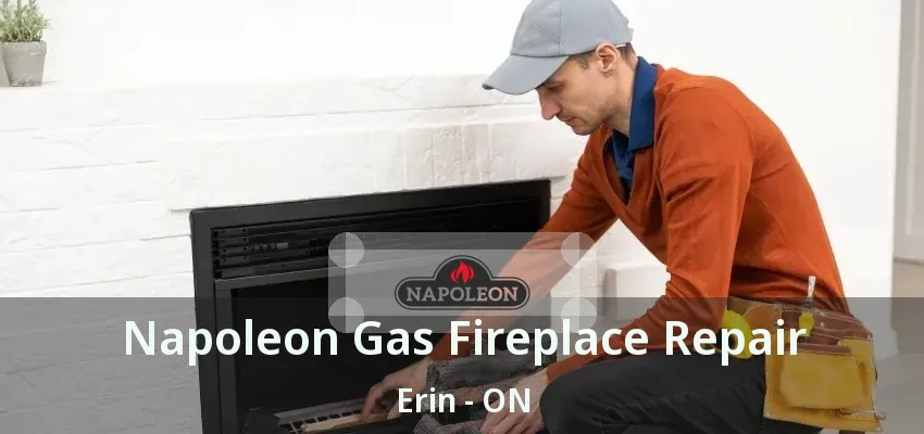 Napoleon Gas Fireplace Repair Erin - ON