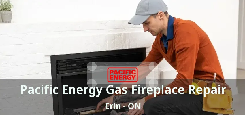 Pacific Energy Gas Fireplace Repair Erin - ON
