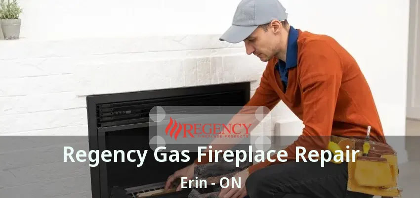 Regency Gas Fireplace Repair Erin - ON