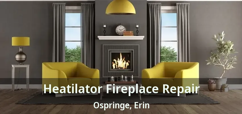 Heatilator Fireplace Repair Ospringe, Erin - ON