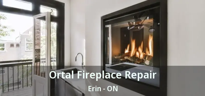 Ortal Fireplace Repair Erin - ON