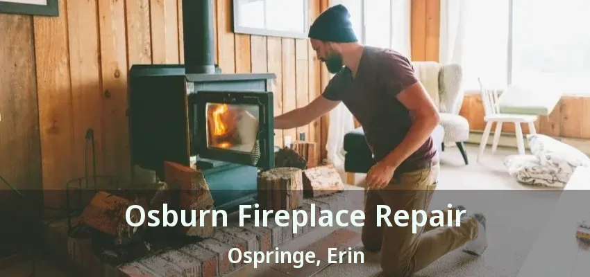 Osburn Fireplace Repair Ospringe, Erin - ON