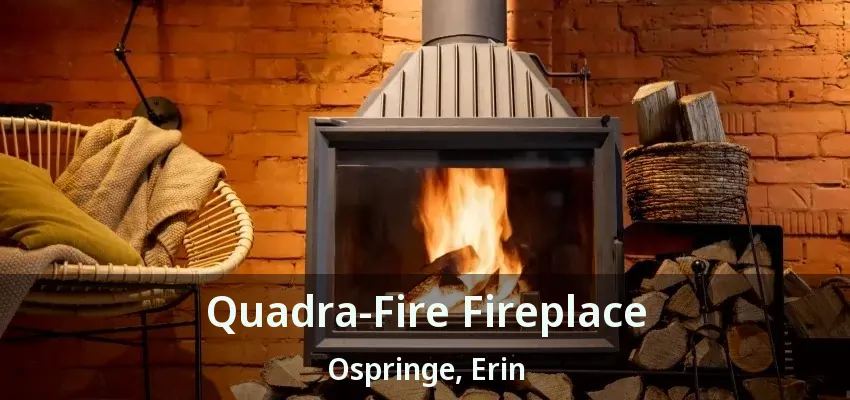 Quadra-Fire Fireplace Ospringe, Erin - ON
