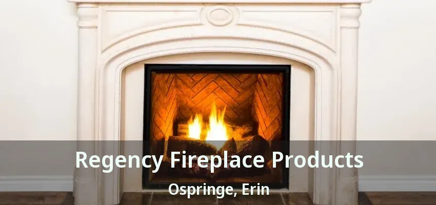 Regency Fireplace Products Ospringe, Erin - ON