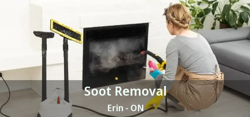 Soot Removal Erin - ON