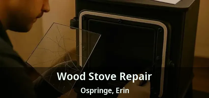 Wood Stove Repair Ospringe, Erin - ON Wood Stove Repair Ospringe, Erin - ON