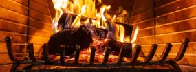 Fireplace Damper Services Erin