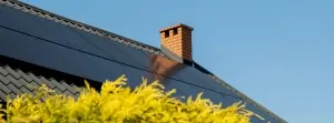 Chimney Sweep Erin